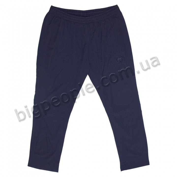 Літні тонкі спортивні штани ДЕКОНС великих розмірів. Колір темно-синій. Внизу прямі. (br00083443)