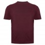 Футболка мужская POLO PEPE большого размера. Цвет бордовый. Ворот полукруглый. (fu01520331)