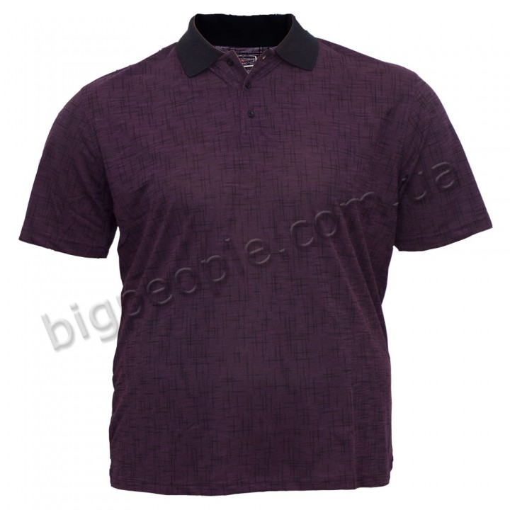 Бордова футболка лакоста великого розміру BORCAN CLUB (fu00803424)
