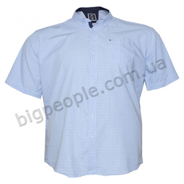 Блакитна сорочка великого розміру з коротким рукавом BIRINDELLI (ru00423076)