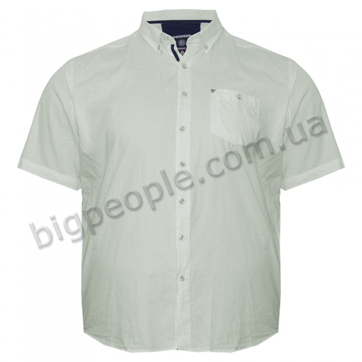 Зеленая хлопковая мужская рубашка больших размеров BIRINDELLI (ru05229221)