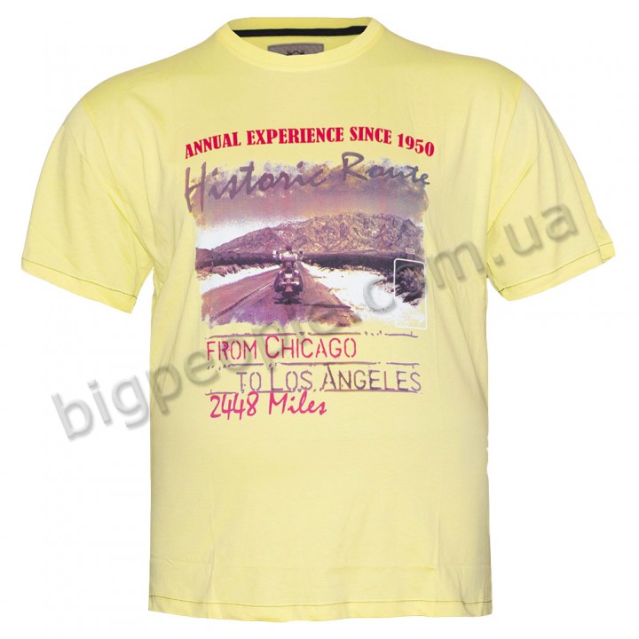 Жовта футболка для великих чоловіків POLO PEPE (fu00674544)