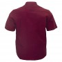 Рубашка мужская БИРИНДЕЛЛИ больших размеров. Цвет бордовый. (ru00489775)