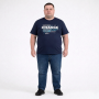 Футболка мужская ARMSTRONG большого размера. Цвет тёмно-синий. Ворот полукруглый. (fu01987531)