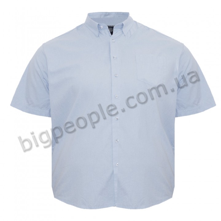 Голубая офисная мужская рубашка больших размеров BIRINDELLI (ru05252068)