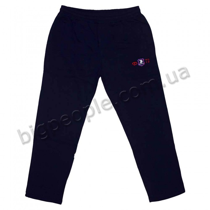 Спортивные штаны ДЕКОНС большого размера. Цвет тёмно-синий. Модель внизу прямые. (br00059654)