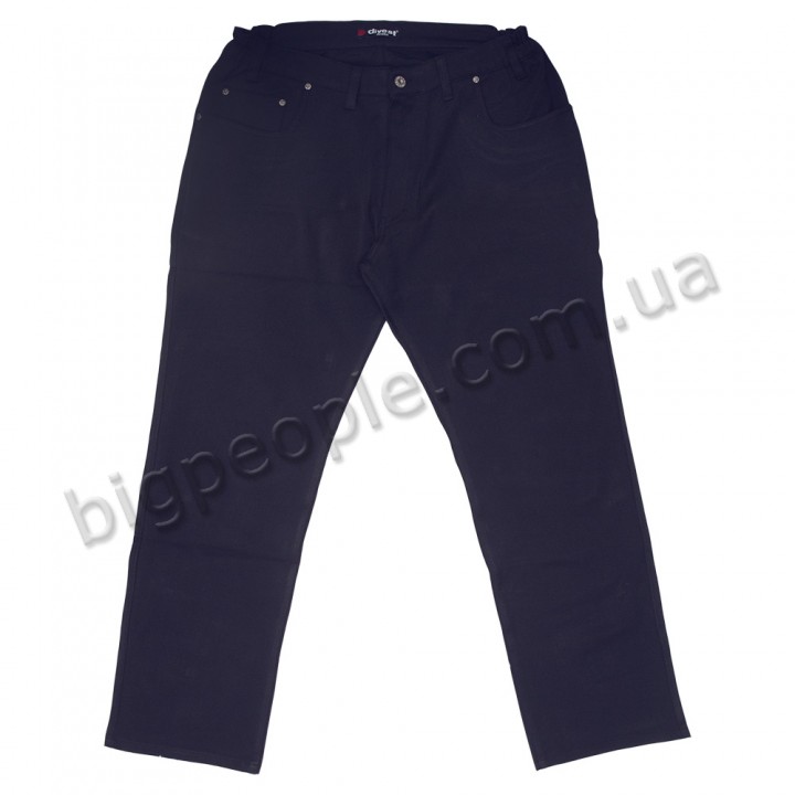 Мужские джинсы DIVEST большого размера. Цвет тёмно-синий. Сезон осень-весна. (dz00376207)