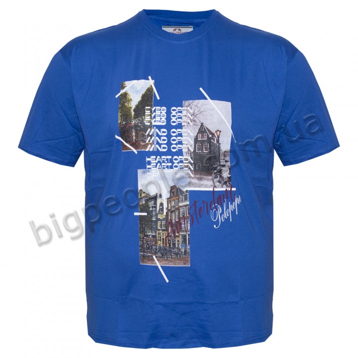 Футболка чоловіча POLO PEPE великого розміру. Колір блакитний. Воріт напівкруглий. (fu01316664)