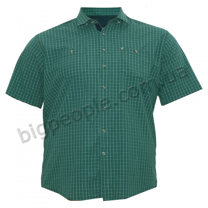 Зеленая хлопковая мужская рубашка больших размеров BIRINDELLI (ru00477442)