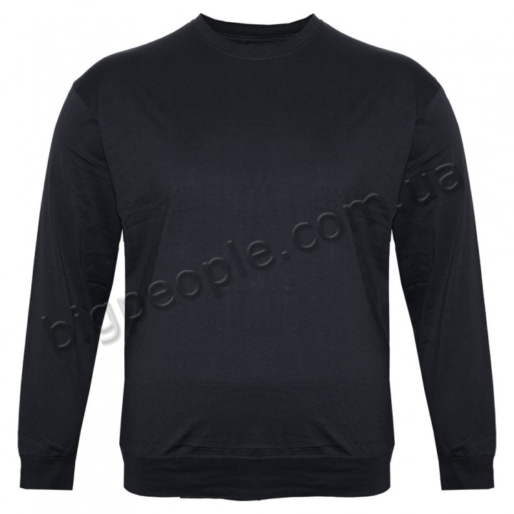 Чорна футболка (толстовка тонка) OLSER (fu01931559)