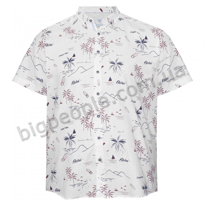 Мужская льняная рубашка больших размеров CASTELLI (ru05197553)