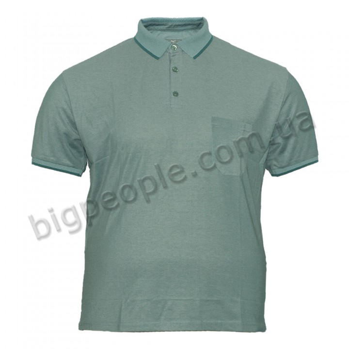 Чоловіча футболка polo великого розміру GRAND CHEFF (fu00756541)