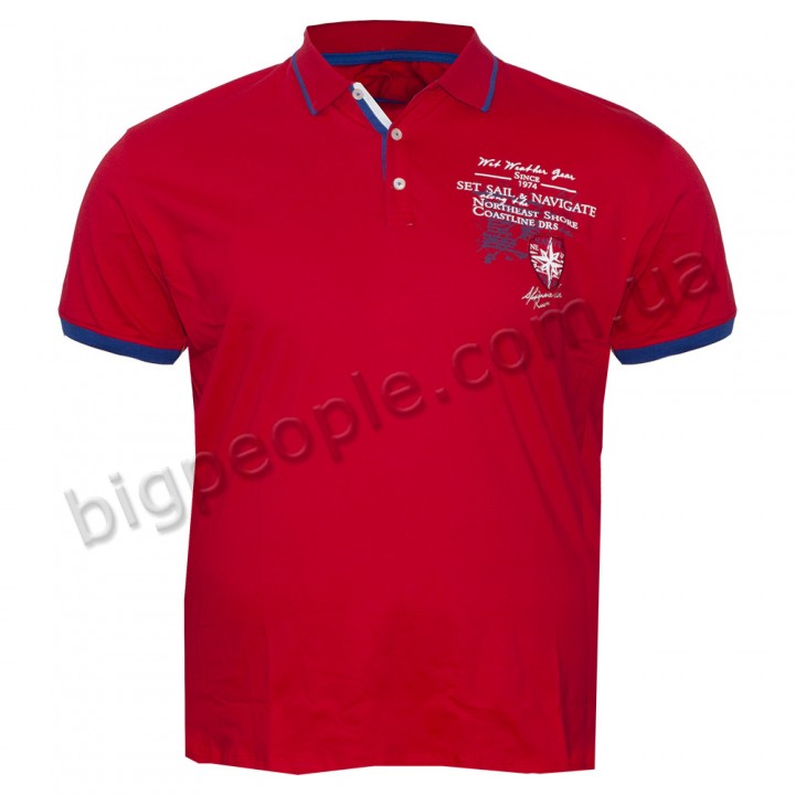 Чоловіча футболка polo великого розміру DIO RISE. Колір червоний. (fu01310447)