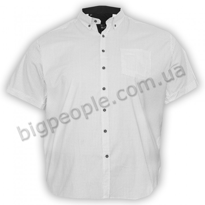 Біла чоловіча сорочка бавовняна великих розмірів BIRINDELLI (ru00509441)