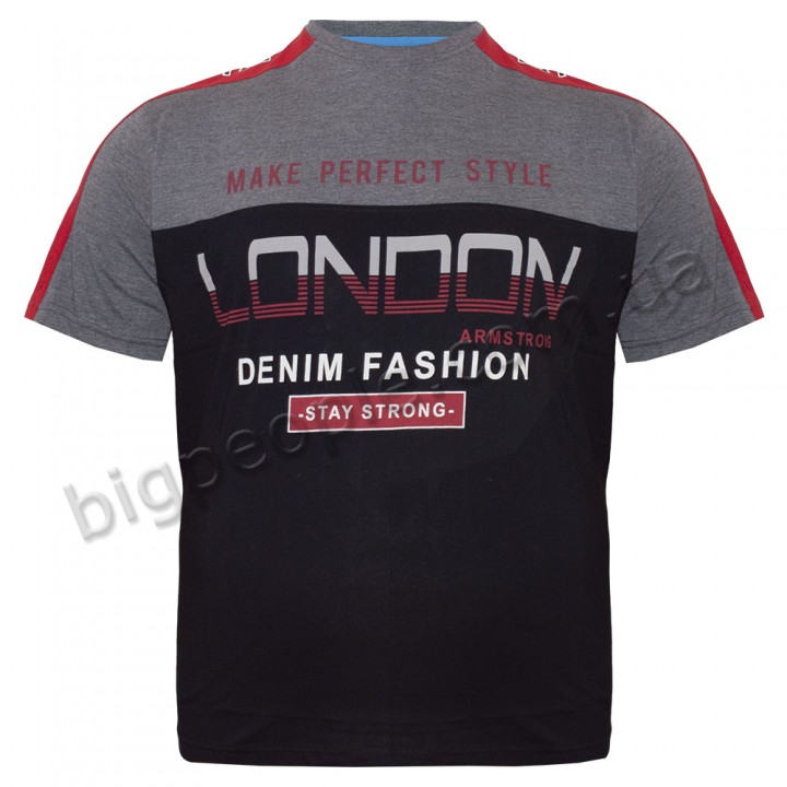 Футболка чоловіча ARMSTRONG великого розміру. Колір чорний. Воріт напівкруглий. (fu01379444)