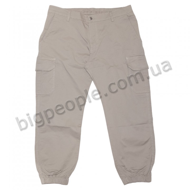 Мужские брюки DEKONS для больших людей. Цвет бежевый. Сезон осень-весна. (DZ00387114)