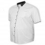 Белая в полоску хлопковая мужская рубашка больших размеров BIRINDELLI (ru05140984)