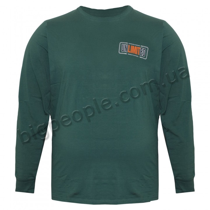 Зеленая мужская футболка с длинным рукавом ANNEX (fu01452982)