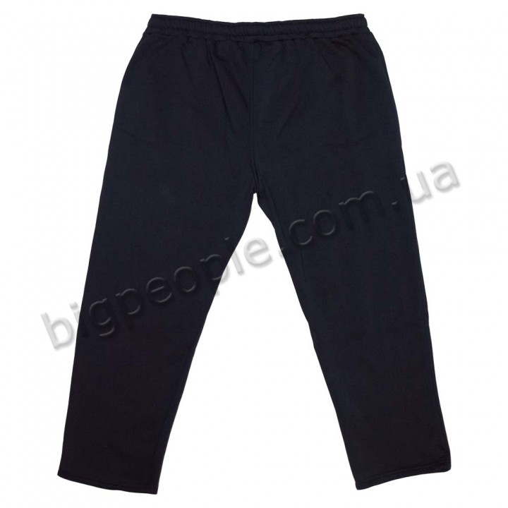 Чоловічі спортивні штани великого розміру OLSER (теплі) (br00066054)