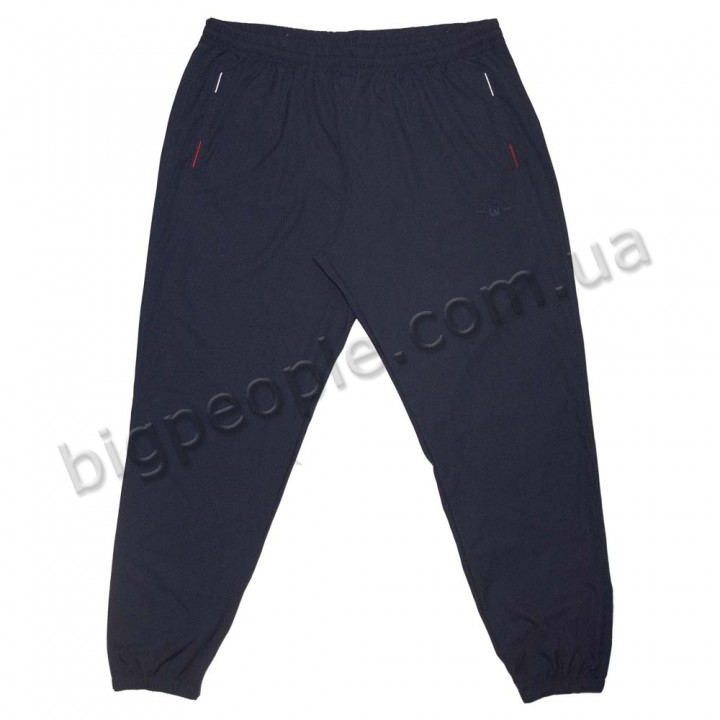 Тонкі літні спортивні штани ДЕКОНС великих розмірів. Колір темно-синій. Внизу на манжеті. (br00104007)