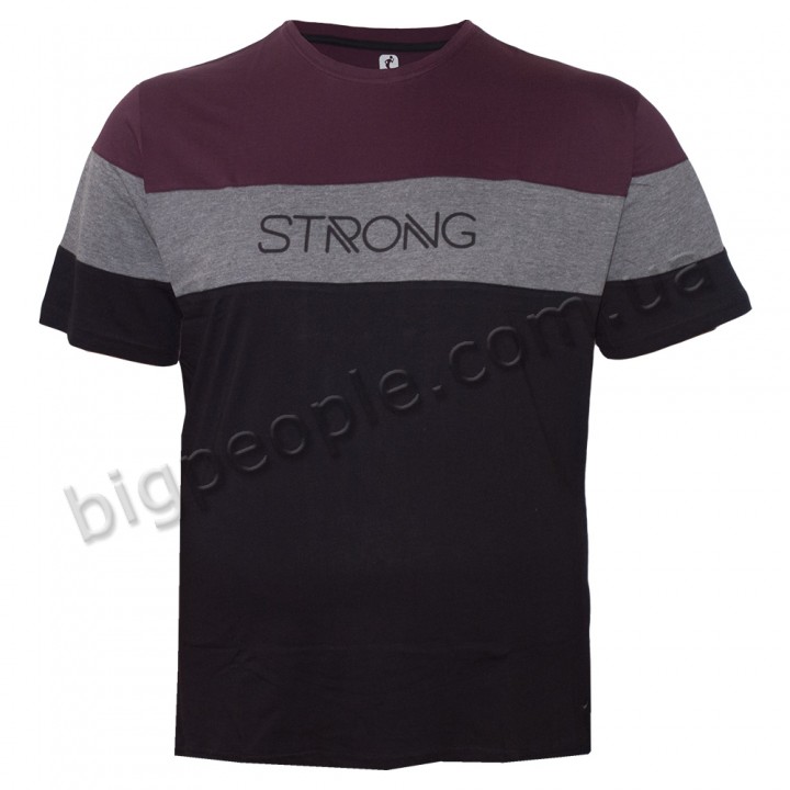 Футболка чоловіча ANNEX великого розміру. Колір комбінований. Воріт напівкруглий. (fu01212774)