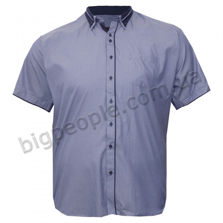 Бузкова чоловіча сорочка бавовняна великих розмірів BIRINDELLI (ru05131331)