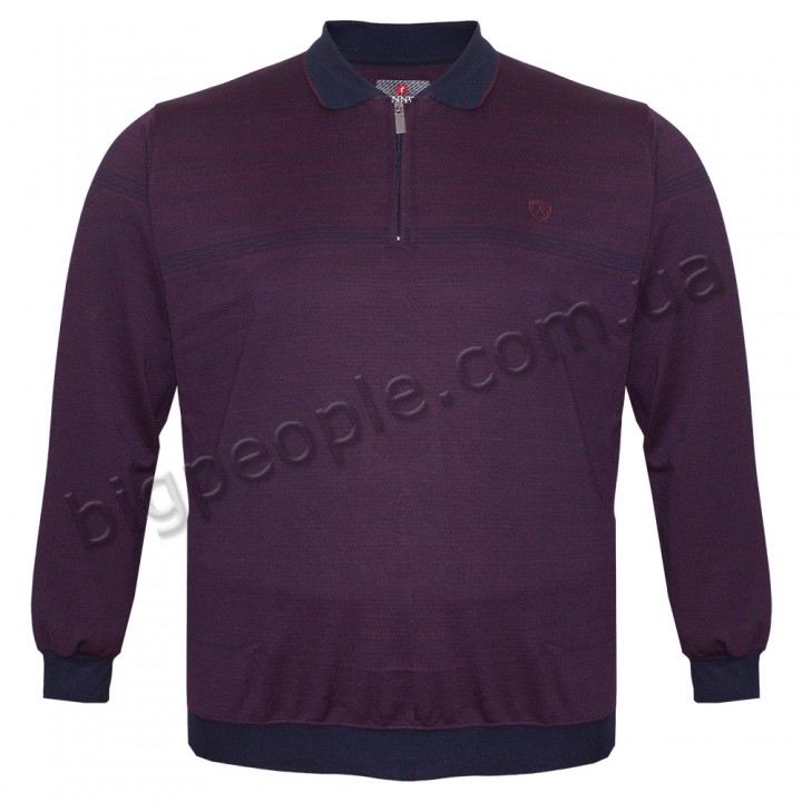 Толстовка середньої щільності для повних чоловіків ANNEX (ba00760006)