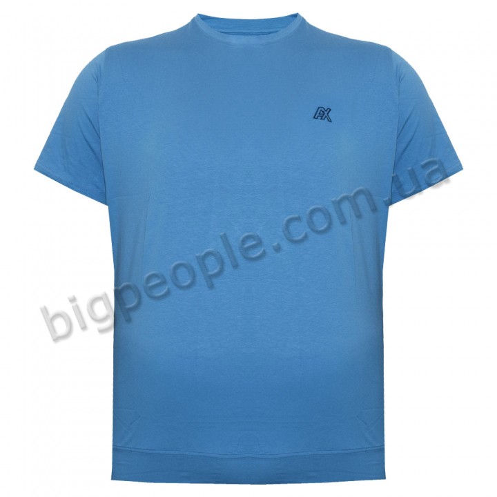 Чоловіча футболка великого розміру ANNEX блакитна  (fu01829553)