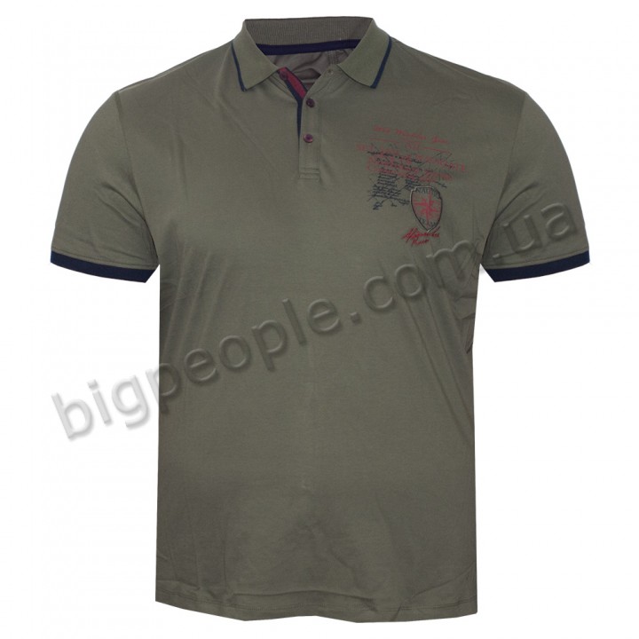 Чоловіча футболка polo великого розміру DIO RISE. Колір хакі. (fu01309557)