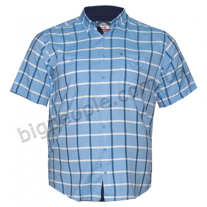 Сорочка у велику блакитну клітку для великих чоловіків BIRINDELLI (ru00355665)