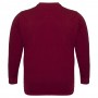 Бордовая мужская футболка с длинным рукавом ANNEX (fu01441996)