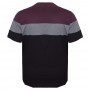 Футболка чоловіча ANNEX великого розміру. Колір комбінований. Воріт напівкруглий. (fu01212774)
