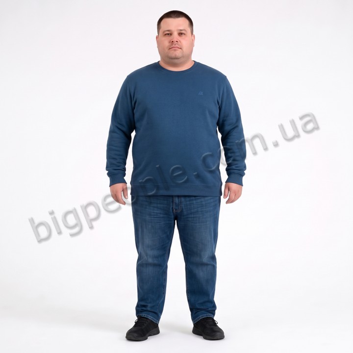 Чоловічий теплий світшот ANNEX синього кольору (ba01134945)