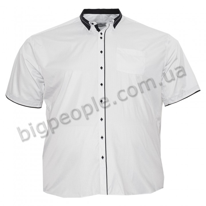 Светлая хлопковая мужская рубашка больших размеров BIRINDELLI (ru00507111)