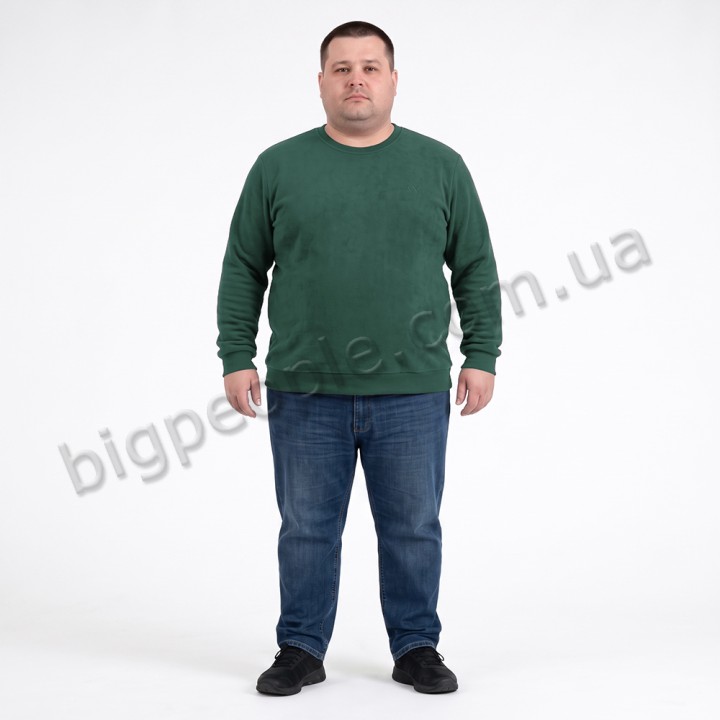 Мужской тёплый свитшот ANNEX цвет зелёный (ba01153897)