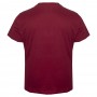 Футболка чоловіча ANNEX великого розміру. Колір бордо. Воріт напівкруглий. (fu01197009)