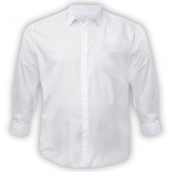 Рубашка мужская с длинным рукавом BIRINDELLI ru00696447
