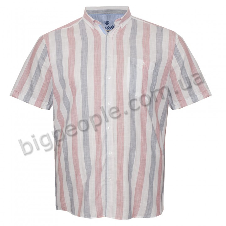 Мужская льняная рубашка больших размеров CASTELLI (ru05194775)