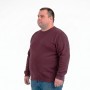 Мужской тёплый свитшот ANNEX цвет бордовый (ba01130621)