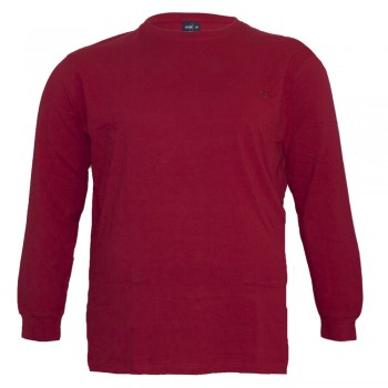 Красная мужская футболка с длинным рукавом ANNEX (fu00836112)