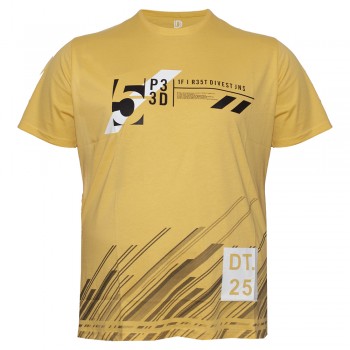 Футболка мужская DIVEST большого размера. Цвет жёлтый. Ворот полукруглый. (fu01431076)