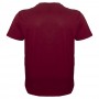 Футболка чоловіча ANNEX великого розміру. Колір бордо. Воріт напівкруглий. (fu01175674)
