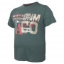 Футболка чоловіча ARMSTRONG великого розміру. Колір зелений. Воріт напівкруглий. (fu01181543)
