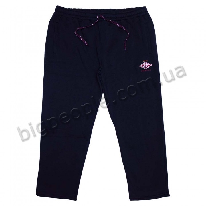 Спортивные брюки ДЕКОНС для больших мужчин. Цвет тёмно-синий. Модель внизу прямые. (br00062974)