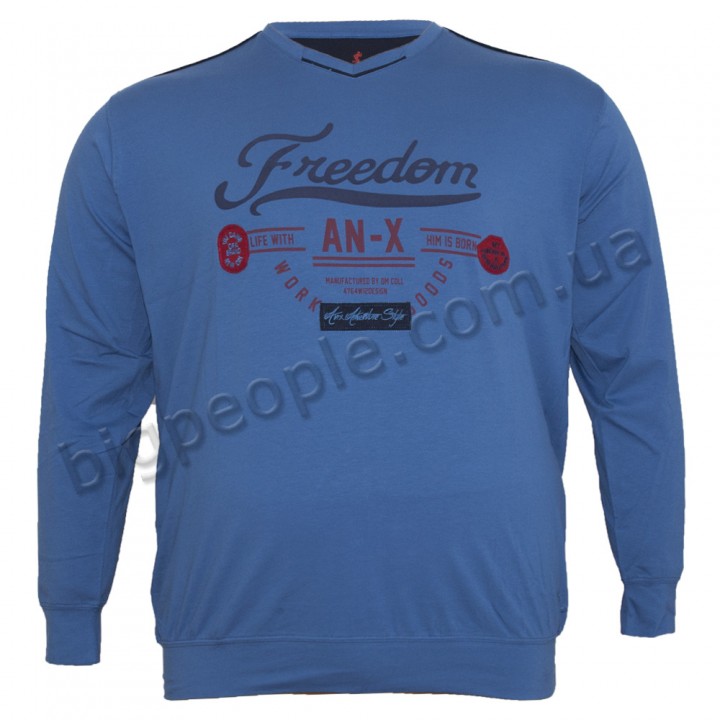 Синя чоловіча футболка з довгим рукавом ANNEX (fu00830409)