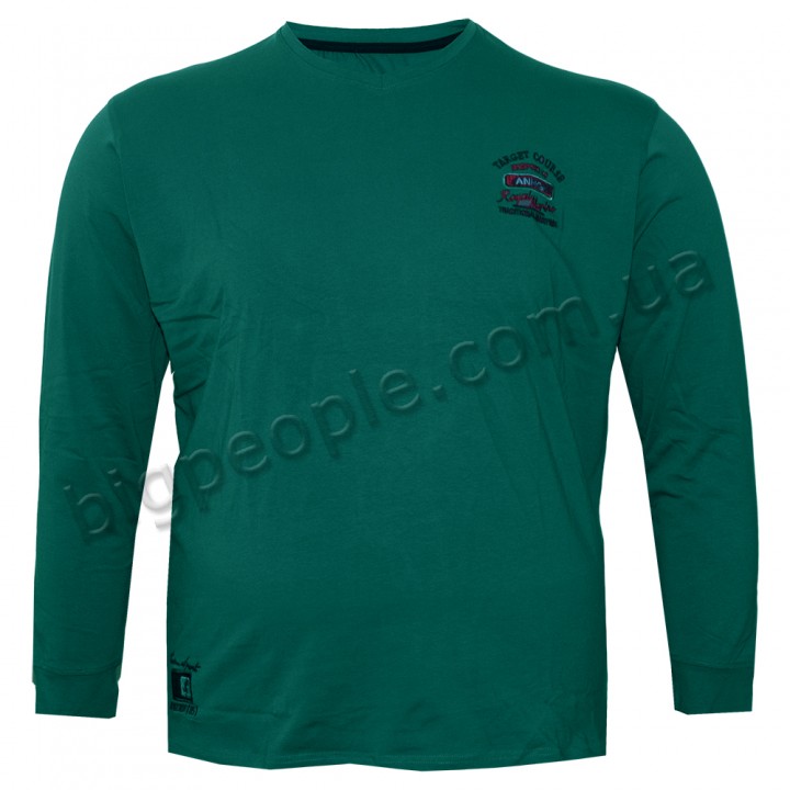 Зеленая мужская футболка с длинным рукавом ANNEX (fu01154714)