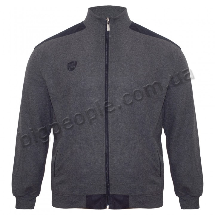 Сіра кофта великого розміру утеплена GRAND CHIEF (ba00768442)