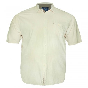 Светлая мужская рубашка больших размеров BIRINDELLI (ru00527154)