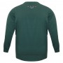 Зеленая мужская футболка с длинным рукавом ANNEX (fu01452982)
