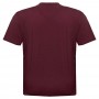 Футболка мужская POLO PEPE большого размера. Цвет бордовый. Ворот полукруглый. (fu01520331)